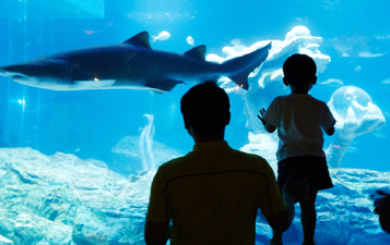 釜山水族馆折扣优惠